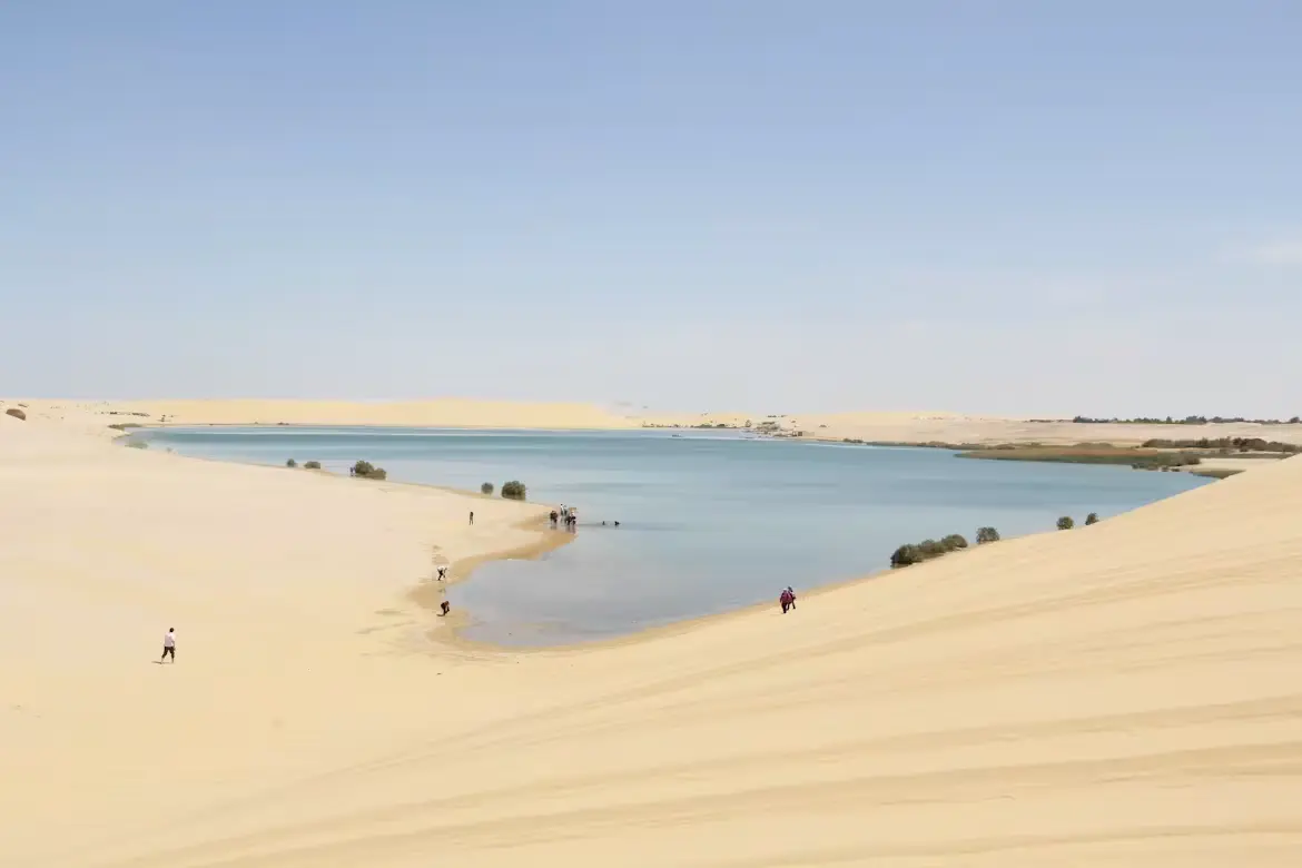 Fayoum Oasis & Wadi El Rayan